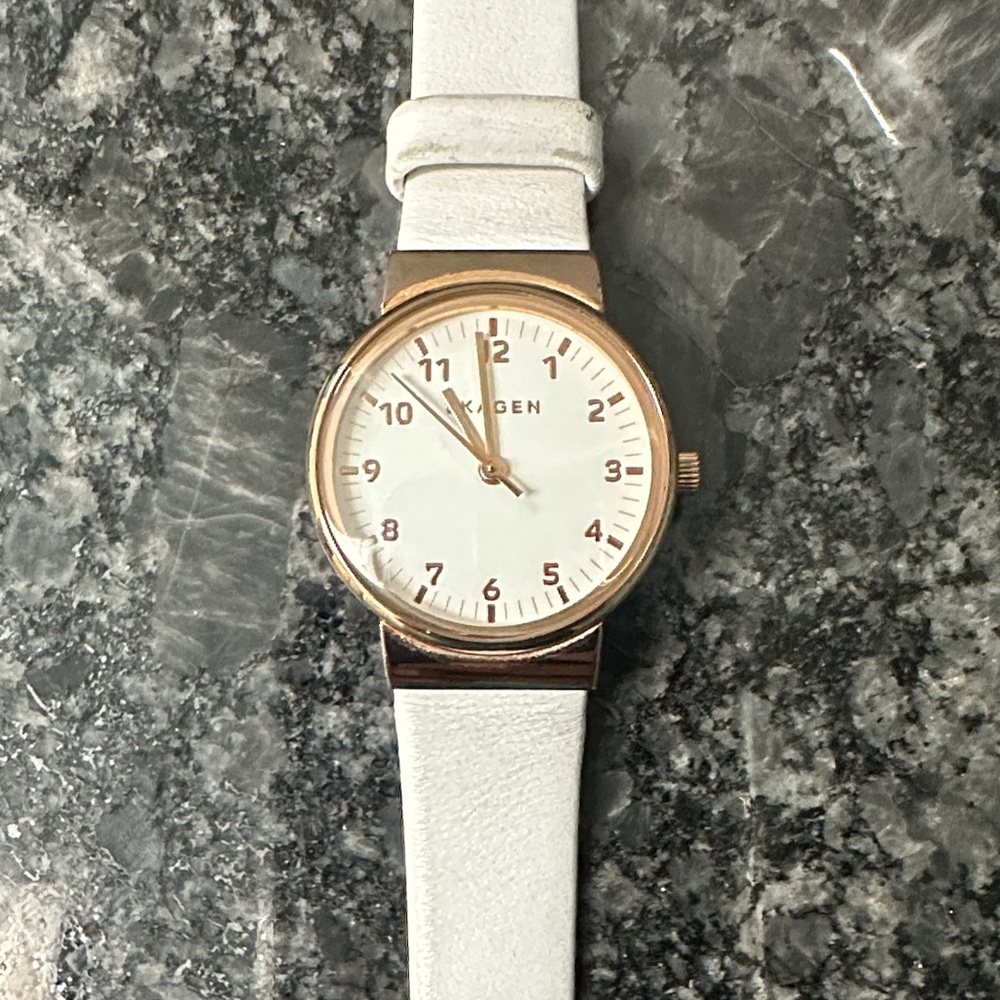 Skagen Gold and White Timepiece